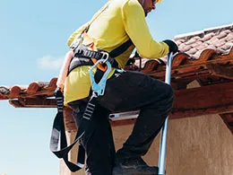 Roof Replacement